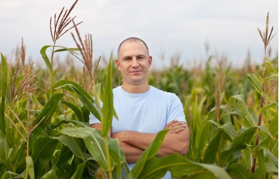 Herramientas manuales de nueva generación para el cultivo de maiz
